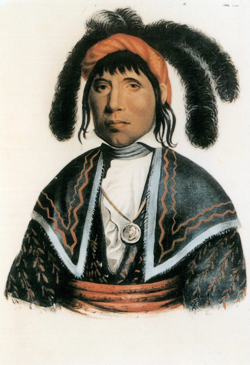 portrait-of-chief-micanopy-of-the-seminoles-by-charles-bird-king